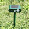 Répulsif chat ultrason solaire : pour repousser les félins